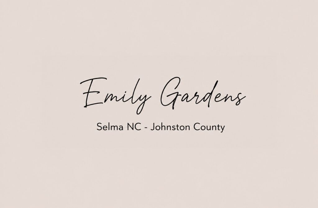 Gallery Images